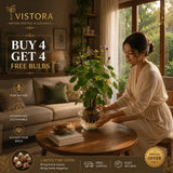 Red rattan Stephania Erecta Bulbs: 🌸Buy 4 Get 4 Free Bulbs🌸