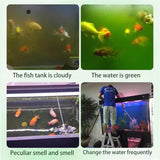 Water Purification Tablets For Fish Tank (Pack of 1)